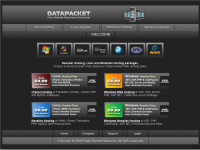 Data Packet Networks