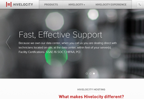Dedicated Server, Colocation and Cloud Hosting Services Hivelocity Launches New Logo