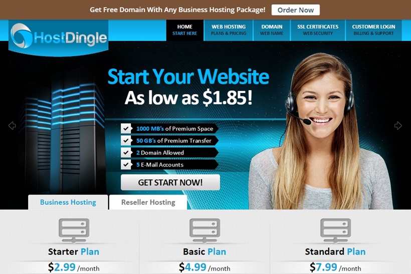 Web Host HostDingle Offers Free Domain with Business Accounts