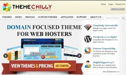 ThemeChilly Launches DomainChilly WordPress Theme