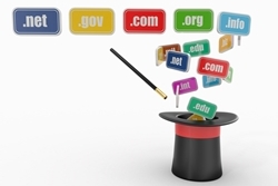 Process of registering a company domain name
