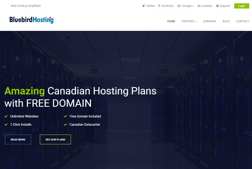 Web Host Bluebird Hosting to Offer WordPress Hosting Packages