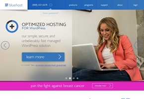 Cloud-based Web Hosting Provider Bluehost Announces WordPress Hosting