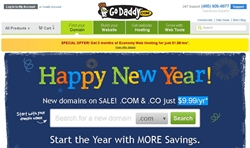 Web Hosting Provider and Domain Name Provider Go Daddy Adopts Social Media Campaign for GoDaddy.com Bowl