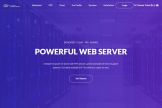 TheServerHost