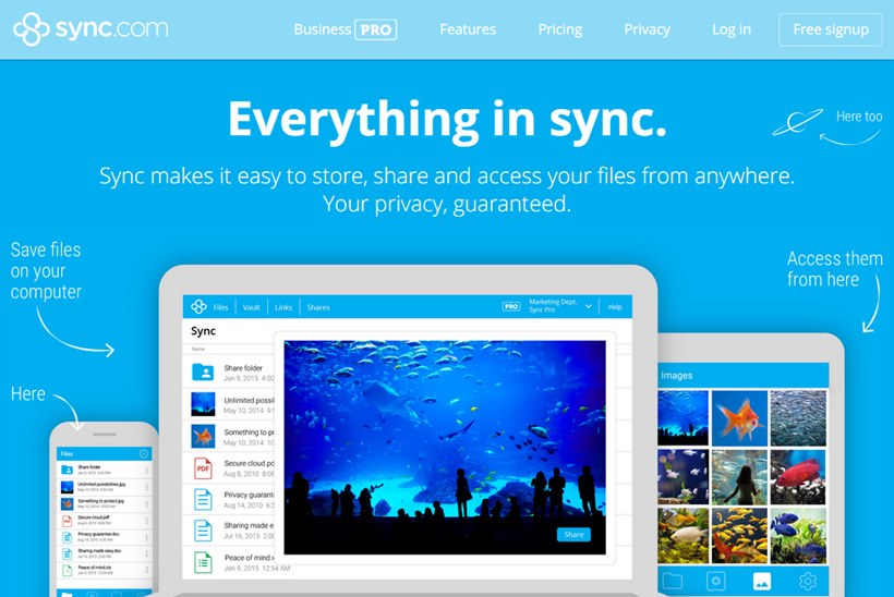 Encrypted Cloud Storage and File Sharing Company Sync.com Now Accepts Bitcoin